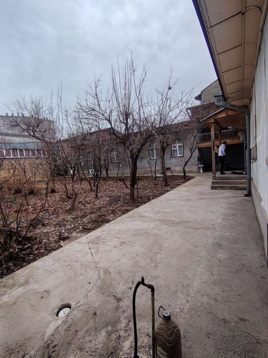 Олмазор тумани мевазор. Шланба