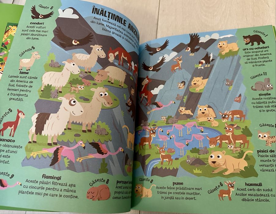 Set 3 cărți de activități pt copii, Noi, 3-7 ani