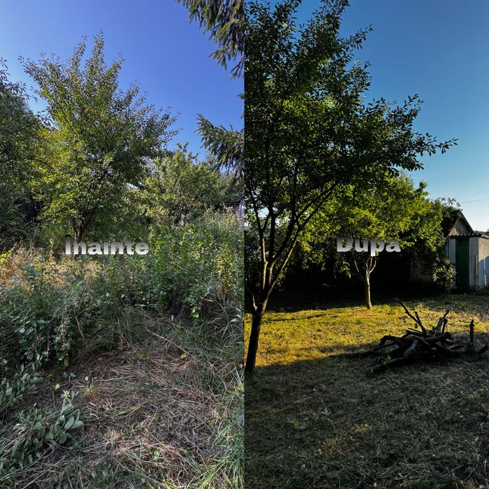 Cosim, Tăiem, Curățăm – Rapid și Eficient! Plus altele.