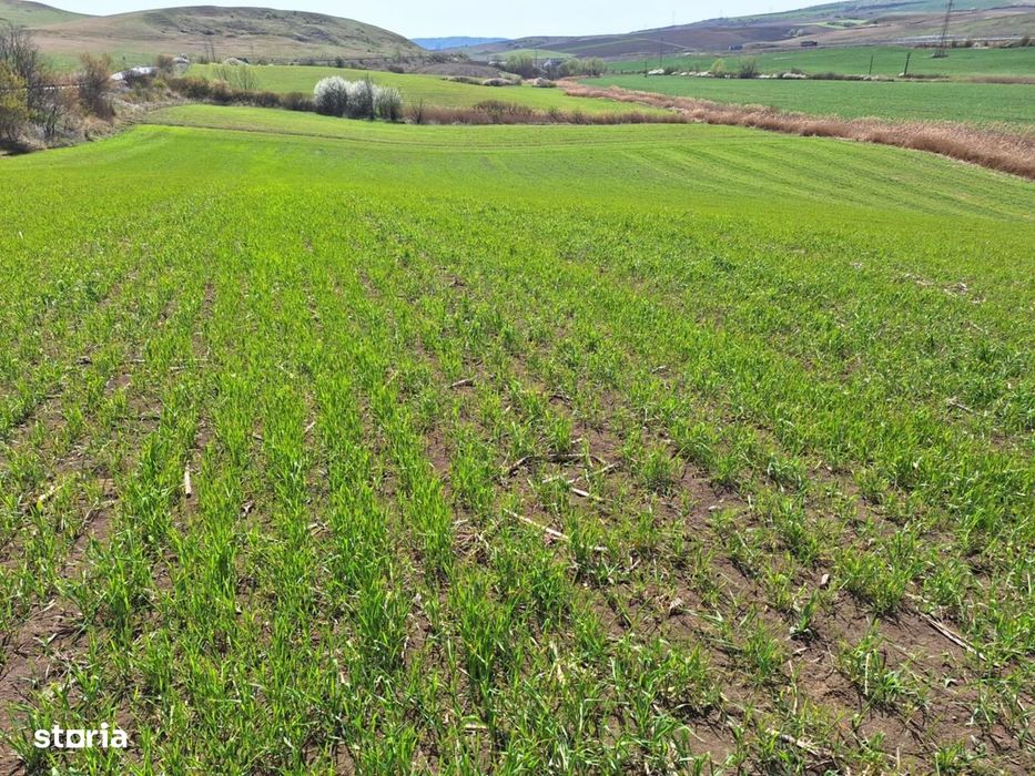 Teren de vânzare, 52600 mp, oportunitate de investiție
