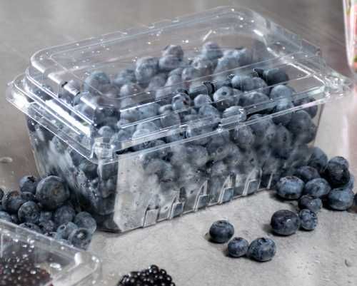 Caserole perforate cu capac 500g