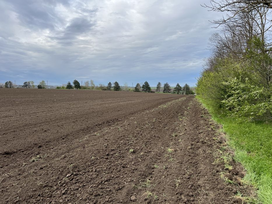 Продава се Земеделски имот в Добрич, Балик -  кв.м за 102 €/дка - Снимка #2