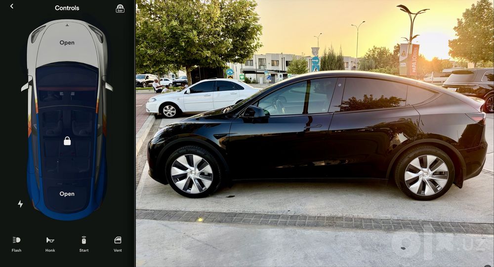 Tesla Y Base 2023, black/black с мастер аккаунтом