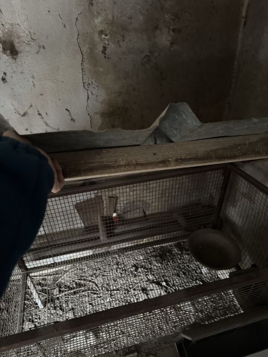 Продам клетки для кроликов