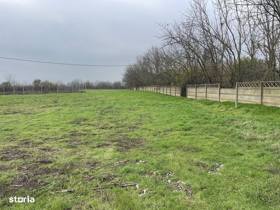 prelungirea ghencea nr 414b,strada floare galbena,