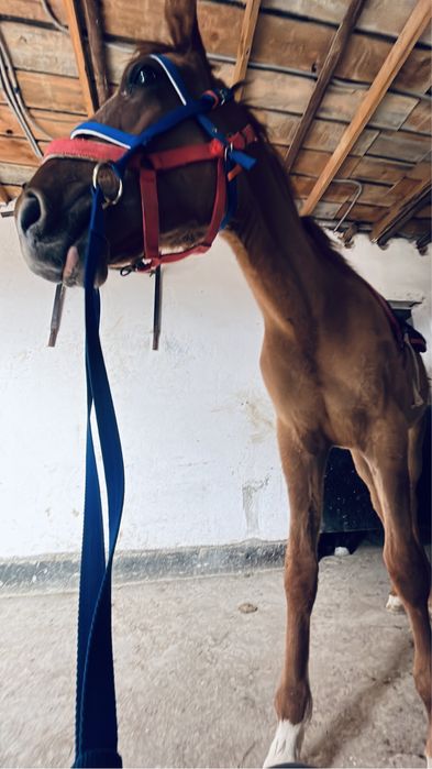 Құнанға шықтыыыыыыыыыыыыыыыыыыыыыыыыыыыыыыыыыыыыыыыыыыыыыыыыыыыыыыыыыы