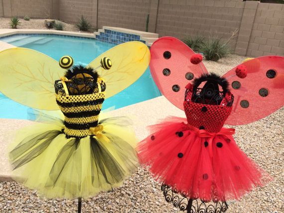 Rochita TUTU albinuta viespe buburuza greier furnica insecte serbare