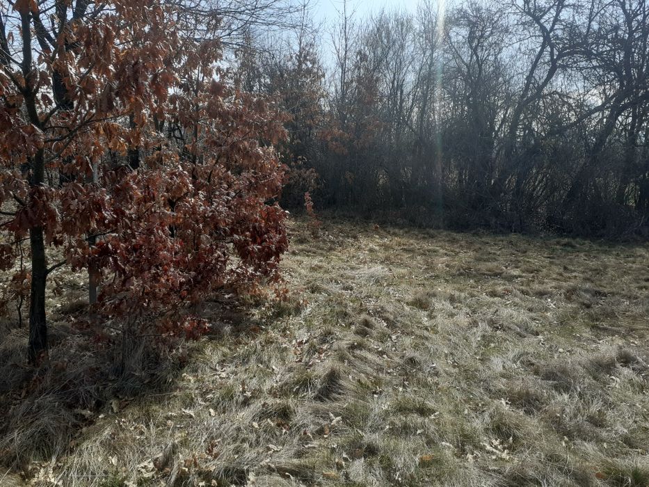 Продава се Парцел в с. Туден, Област София-област - 1500 кв.м за 24 €/кв.м - Снимка #3