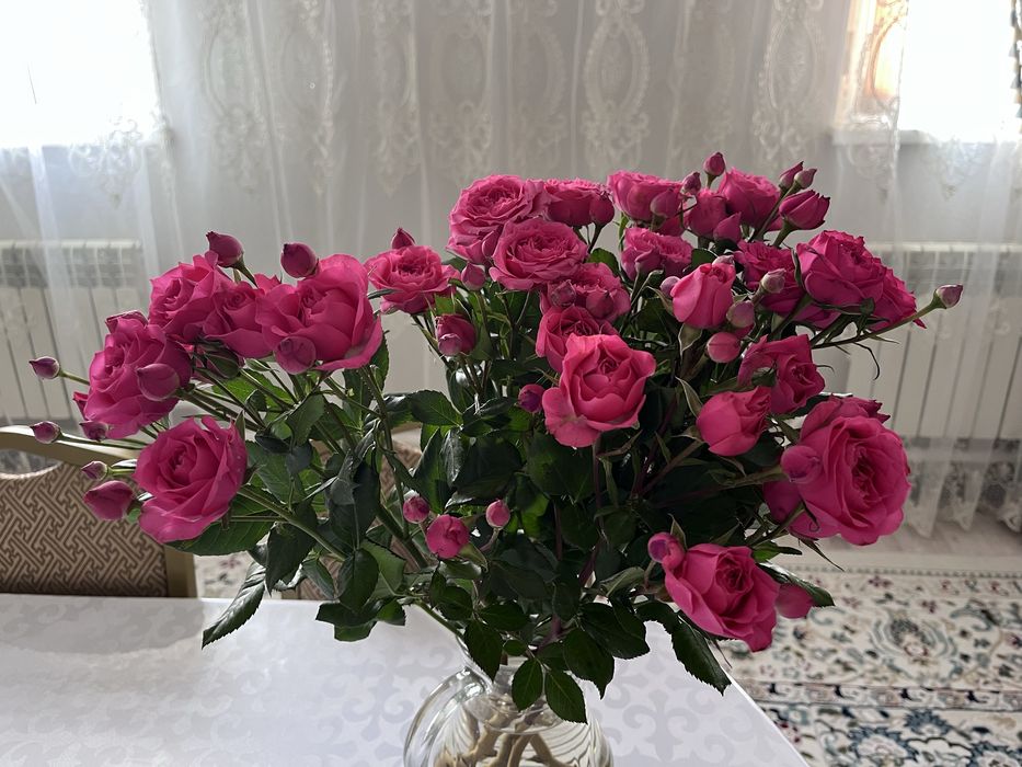 розовые кустовые розы