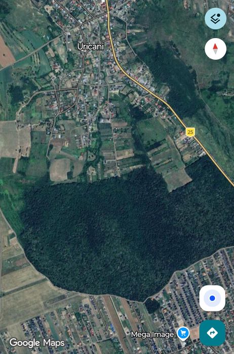 Vând parcela teren pădure Valea Ursului