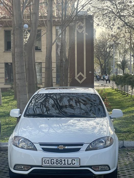 Jentra 2019 polni shumka palirofka bogan