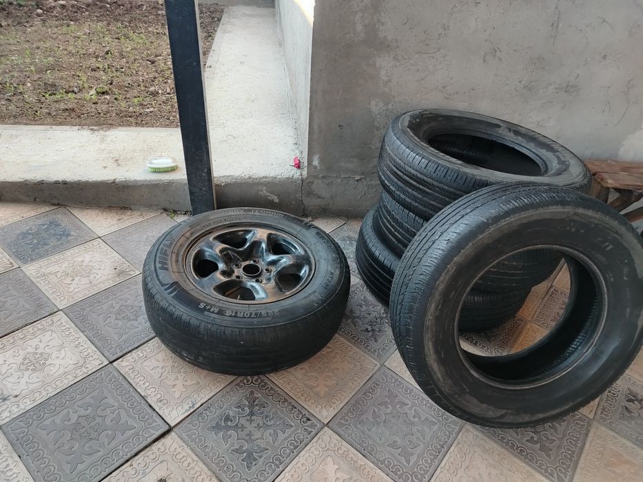 Шыни и зопаска нокачен