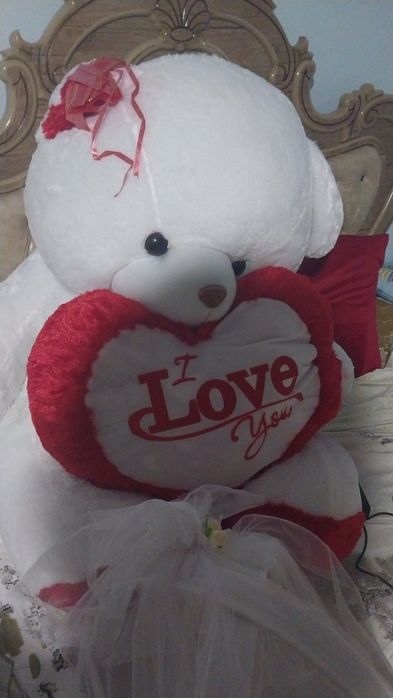 160sm Teddy ayiwi satiladi