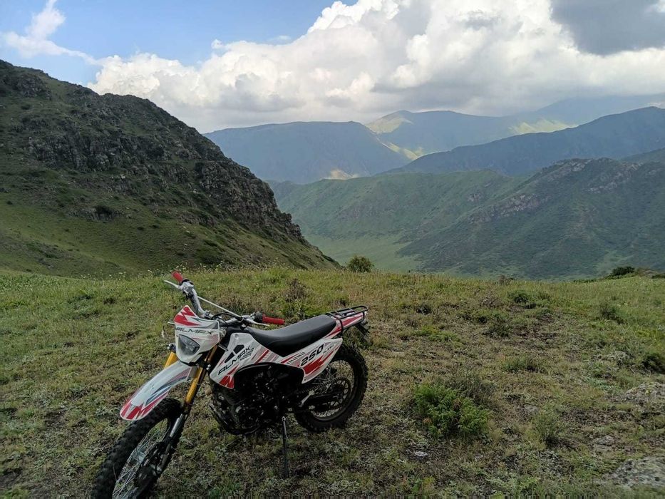 ALMAX, эндуро 250