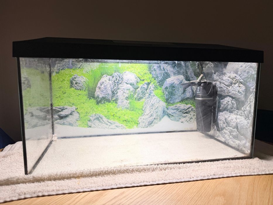 Acvariu 60l complet. Dimensiuni 60x30x30