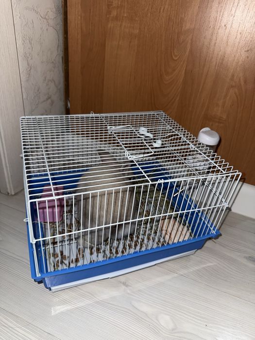 декоративный кролик вместе с клеткой