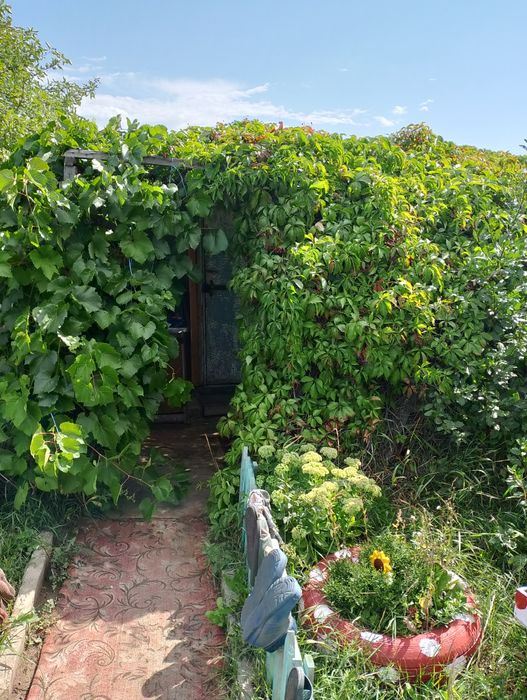 Продам дачу в обществе Рассвет.