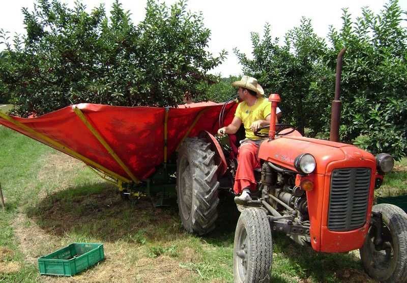 Utilaj recoltat prune, cirese, visine, alune, nuci, migdale