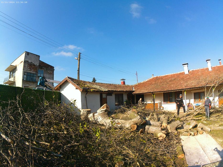 Безопасно Рязане На Опасни Дървета гр. Русе