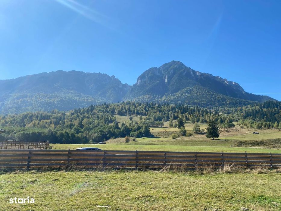 Teren intravilan de vânzare, 1164 mp, acces asfaltat