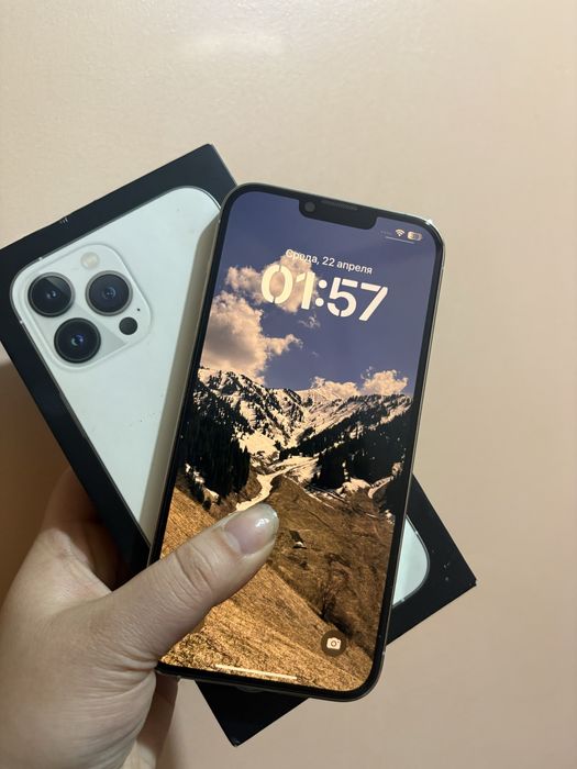 Iphone 13 pro max 256gb