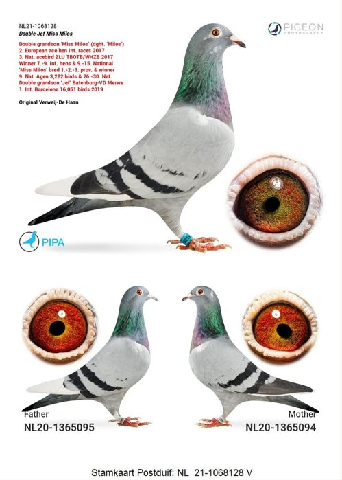 Voiajori maraton-maraton extrem