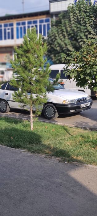 Nexiav 1 sons tranbilyor