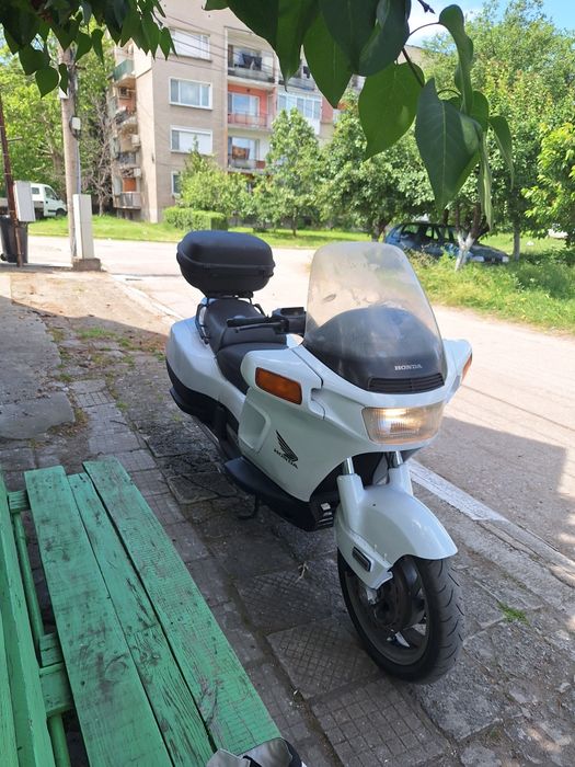 хонда pacific coast