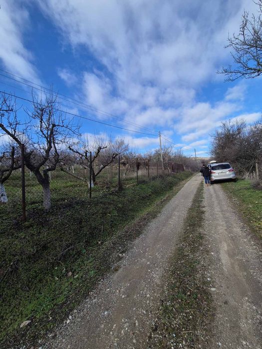 Парцел в Долна Козница