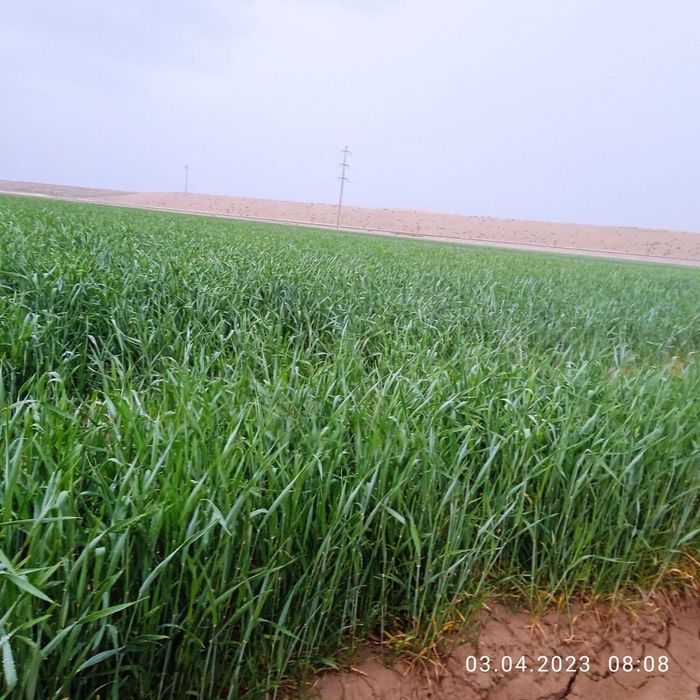 Ер ижарага берилади