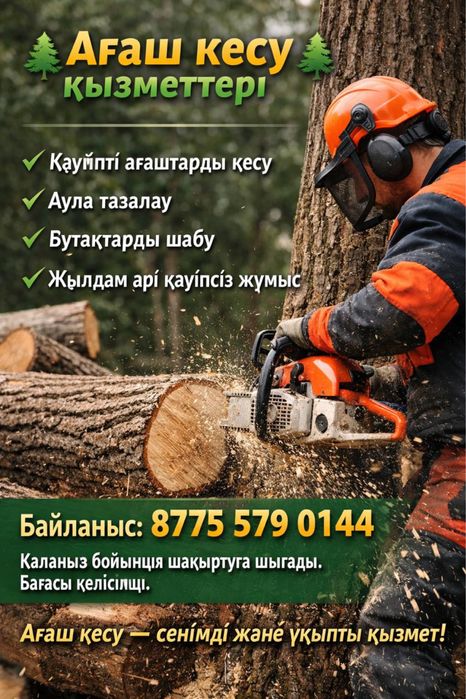 Сарыагаш Агаш Кесу