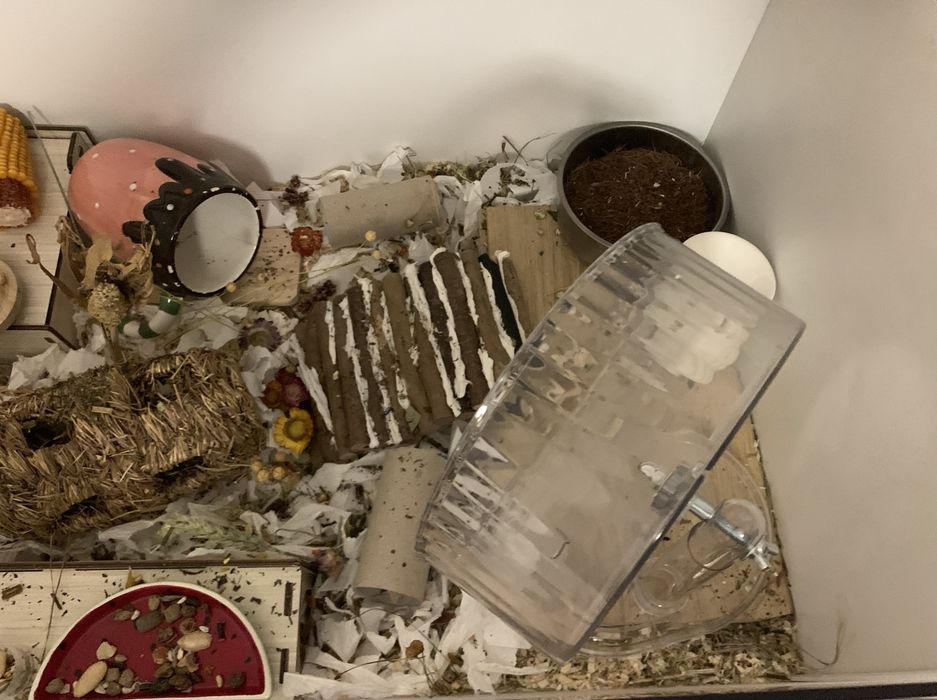 Hamster Enclosure