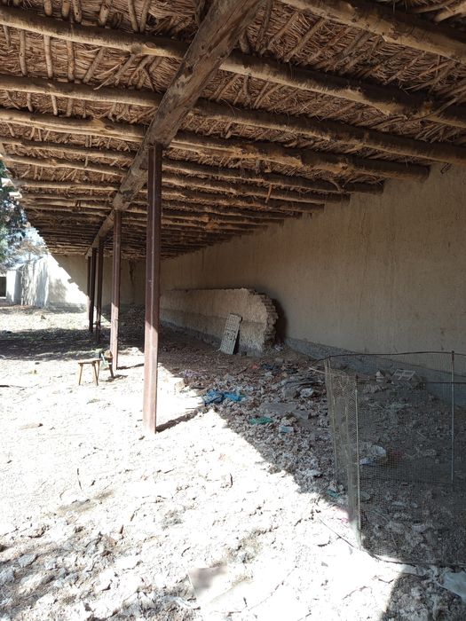 Дом , земельный участок