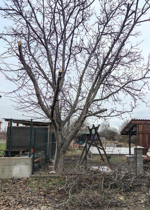 Услуги с телескопична кастрачка, трион, резачка,