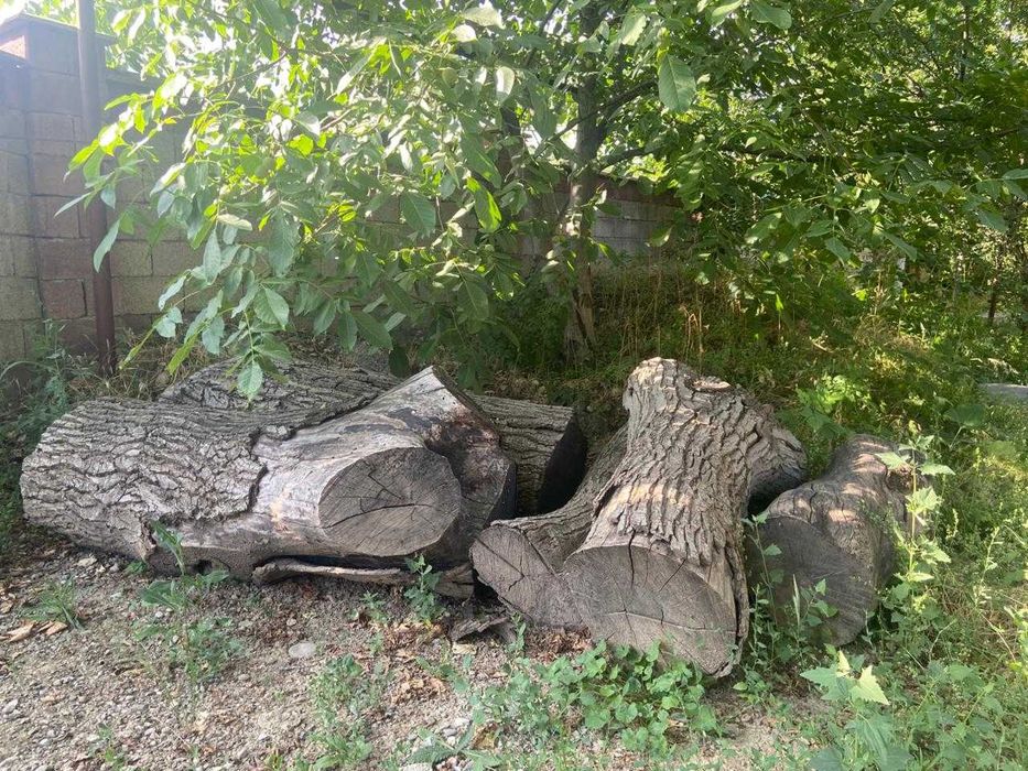 Продаются бревна и дрова