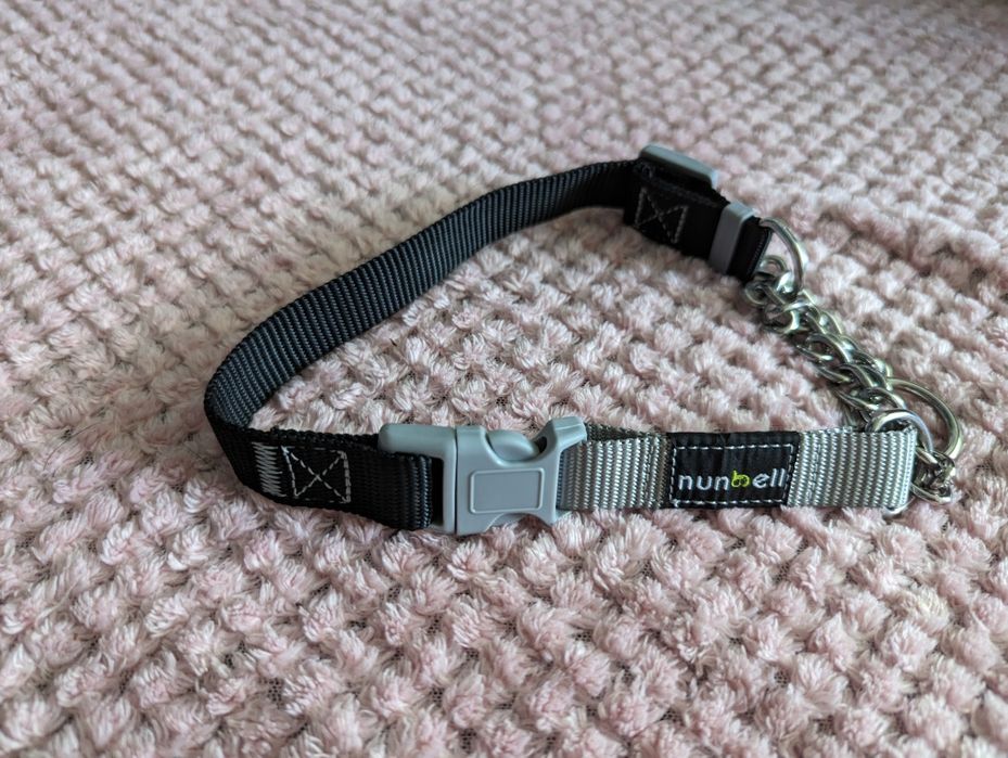 Продам ошейник. Новый