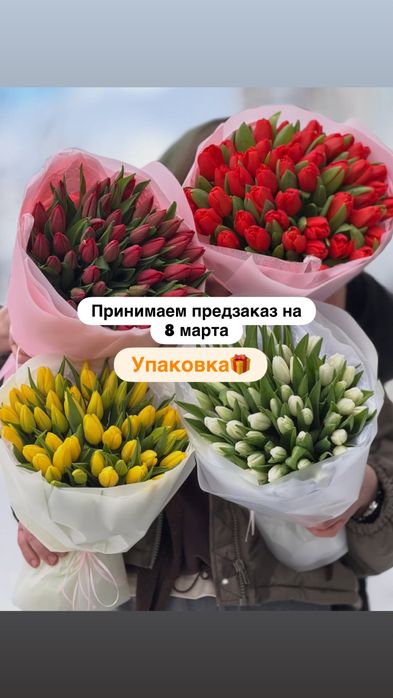 Тюльпаны в розницу профессиональная упаковка