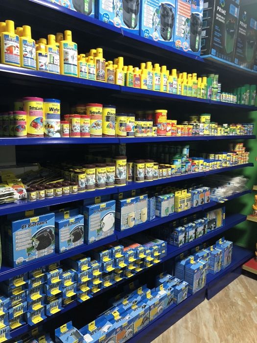 Аквариумистика в "Живом Уголке" в Таугуле