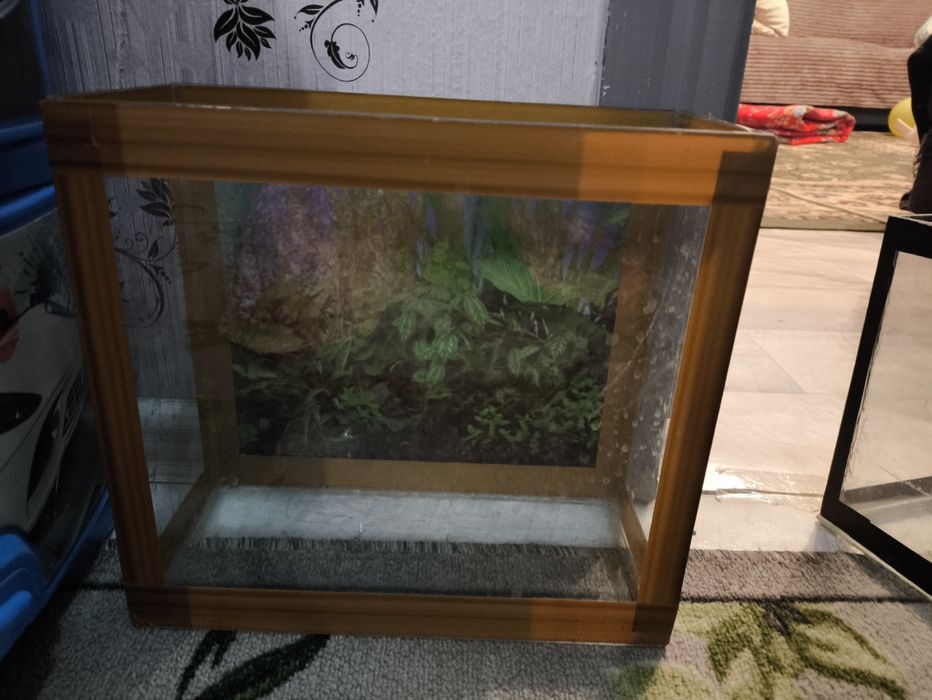 Аквариум 10,10,8.20 литровые