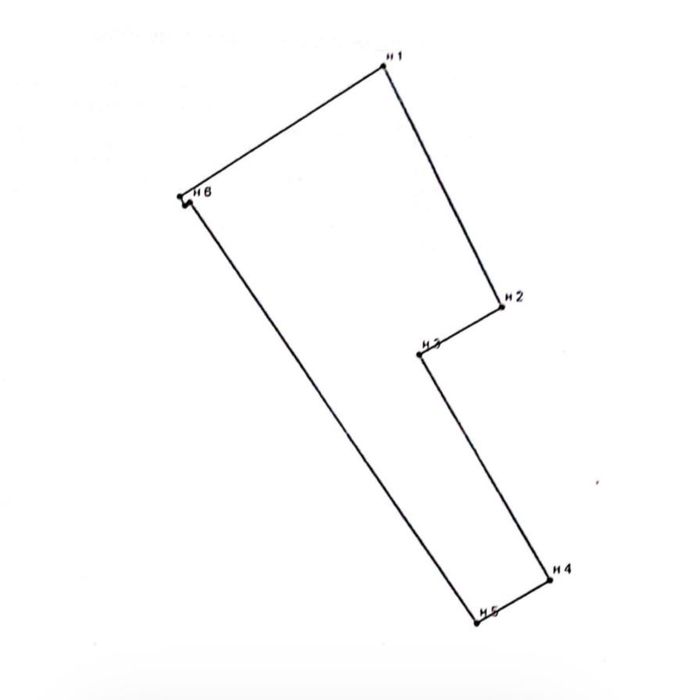 Земля Рисовый 10 соток