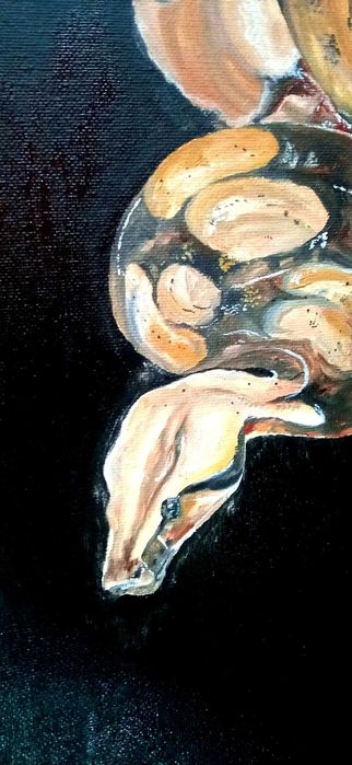 Картина Сытый питон