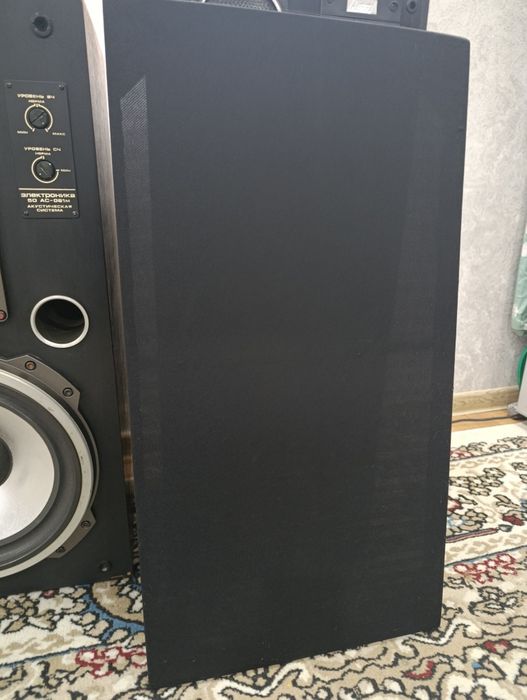 Колонки электроника 50 ас 061 м