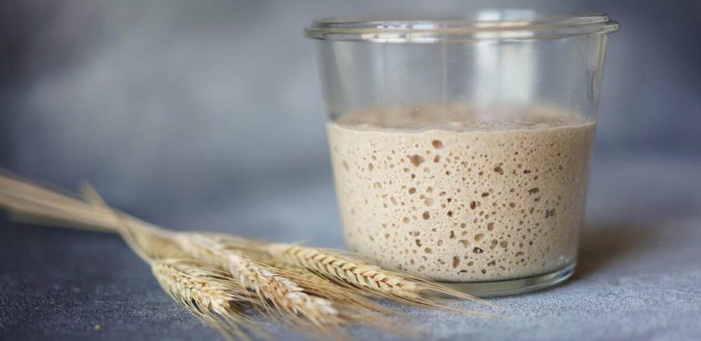 Ржаная закваска, без дрожжевая