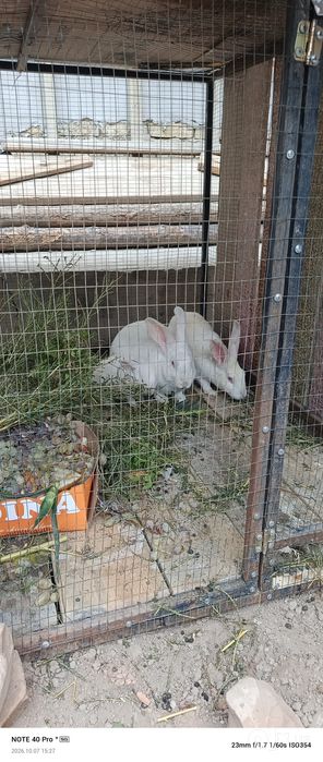 Kuyon og'il qiz 1 bolasi
