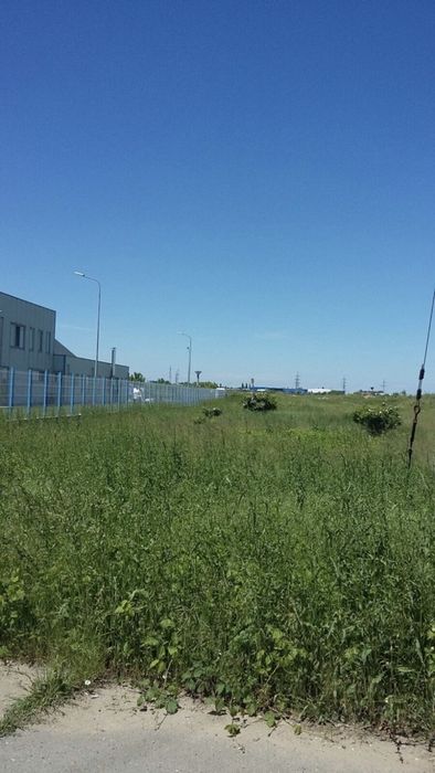 Vand teren intravilan Cățelu/Glina, Autostrada Soarelui/A2
