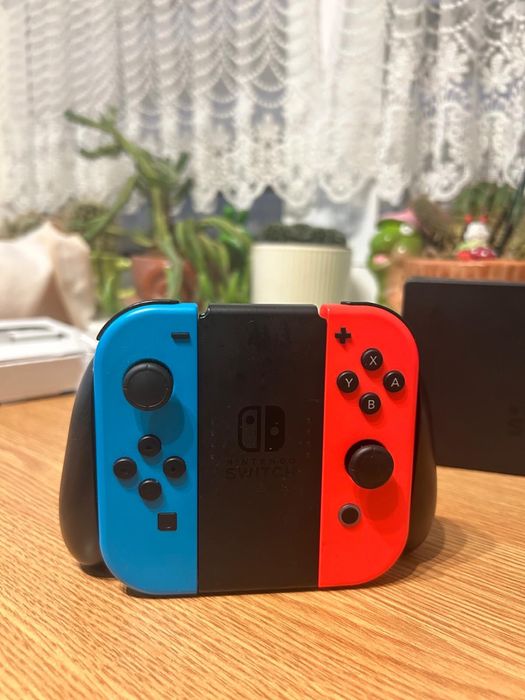 Nintendo switch sports