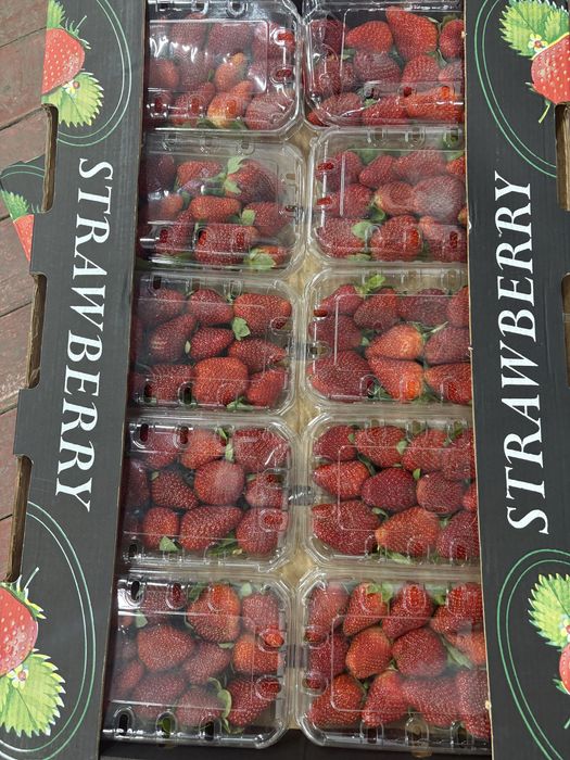 Клубника свежая ящик