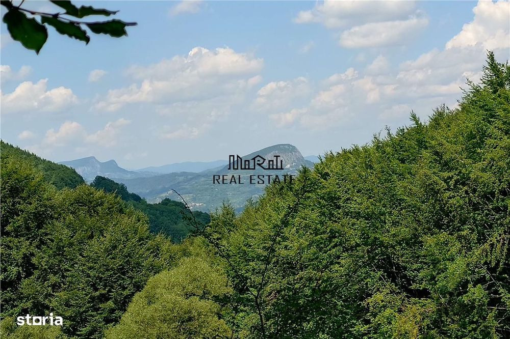 Teren montan cu priveliste si izvor - 5727mp in Buces, langa padure