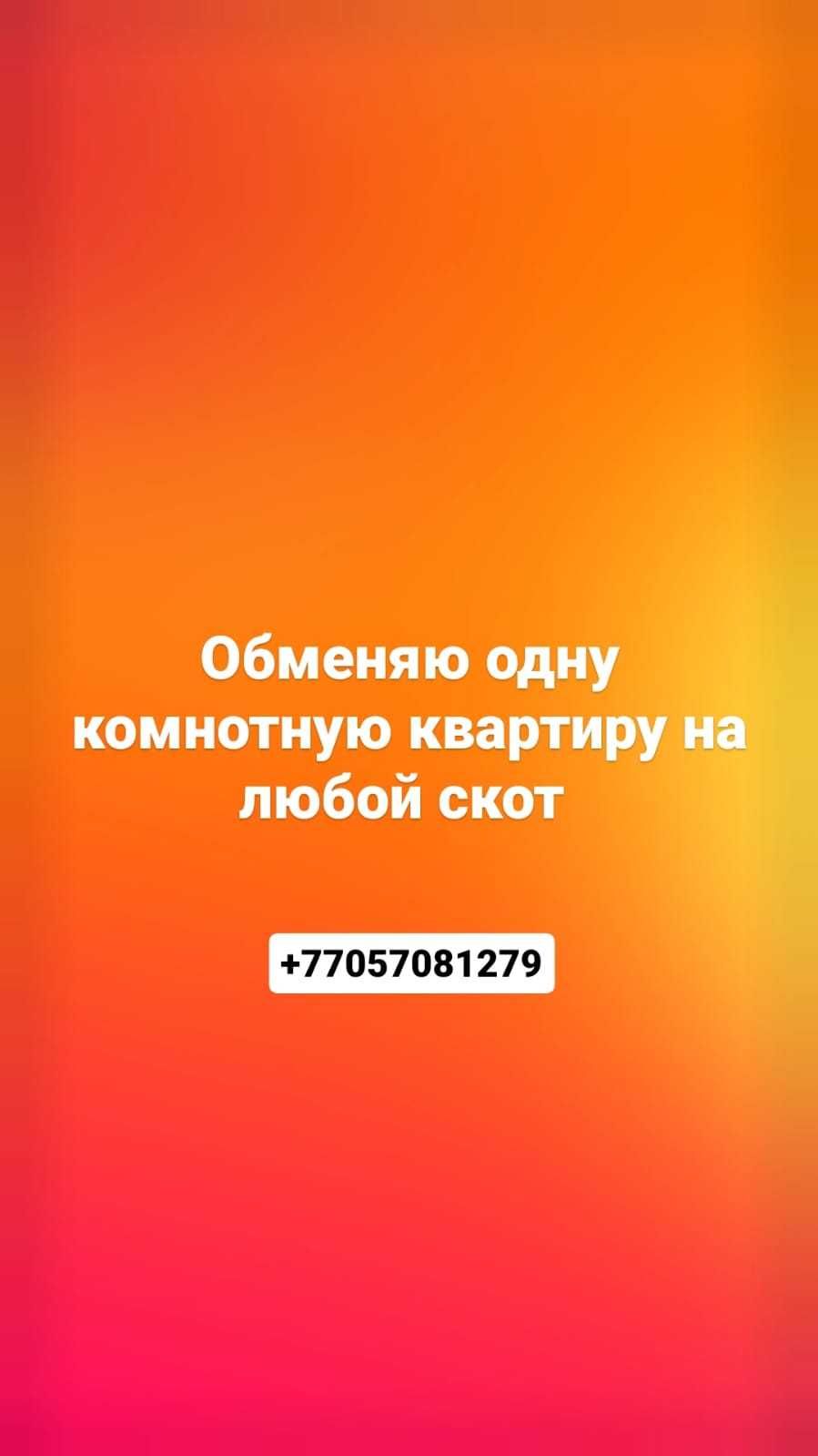 набережная - Продажа квартир в Аксу - OLX.kz