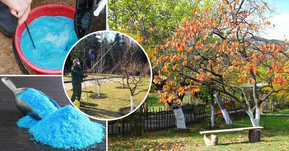 Медный купорос (оптом)